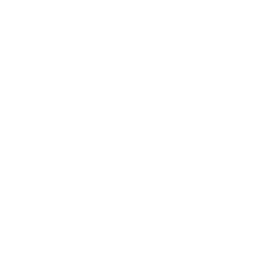 BlueCore Technology Logo